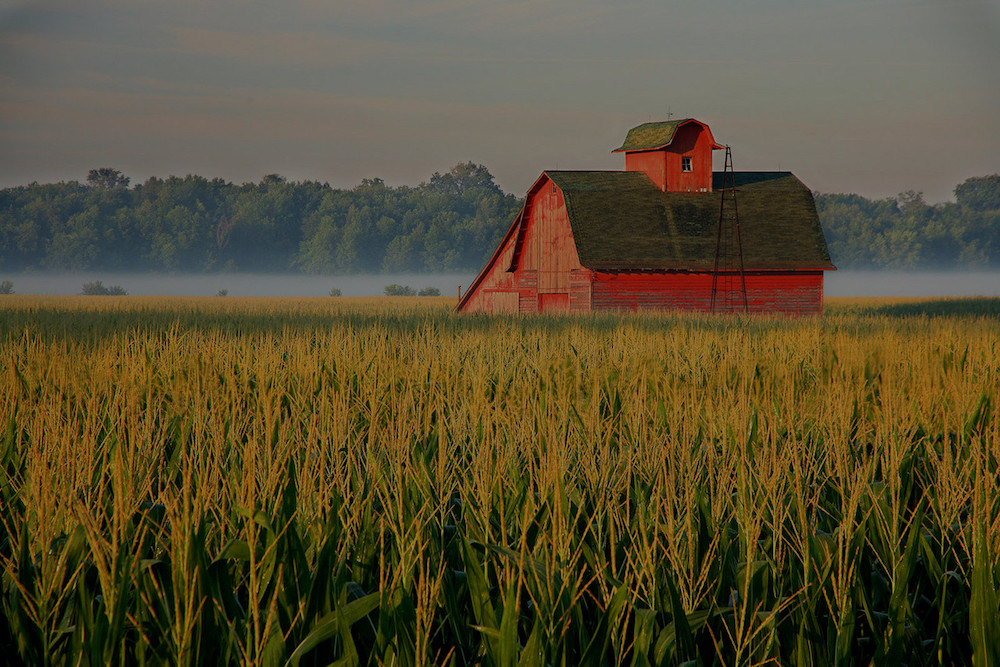 farm and crop insurance Issaquah WA